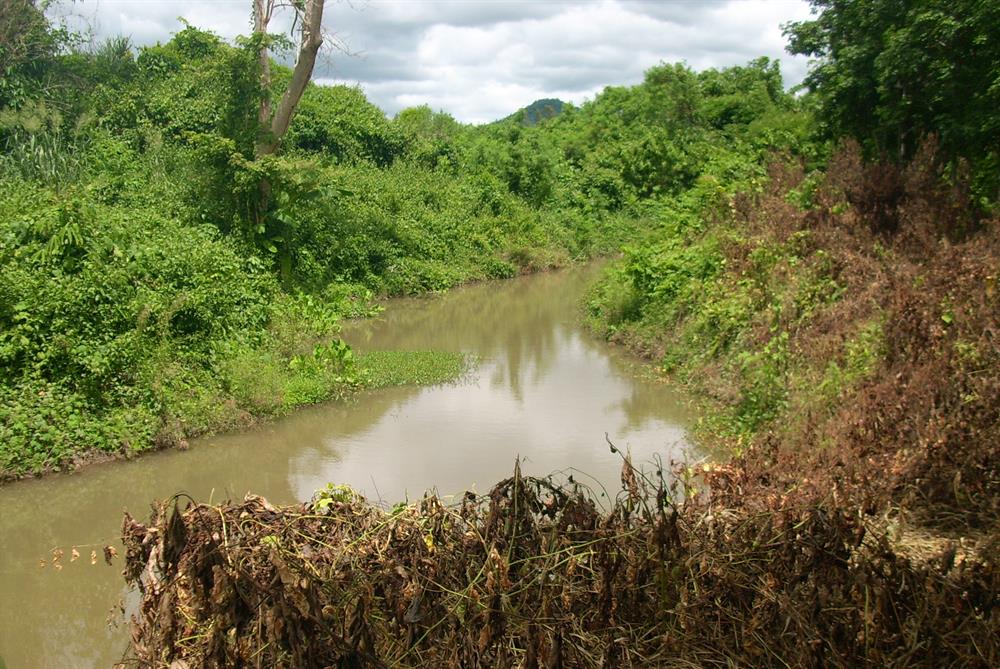 plantation-hevea-sur-100-rai-16-hectares