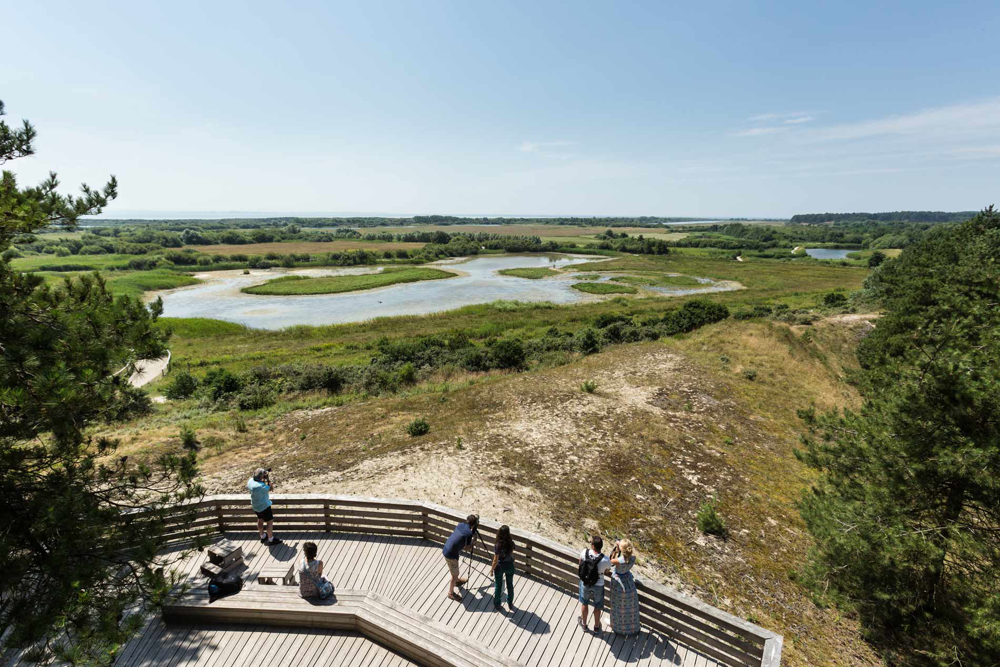 Parc naturel ornithologique du Marquenterre 