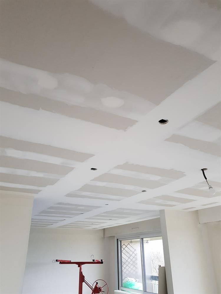 Pose de faux  plafond  et pose de spots  au fontanil